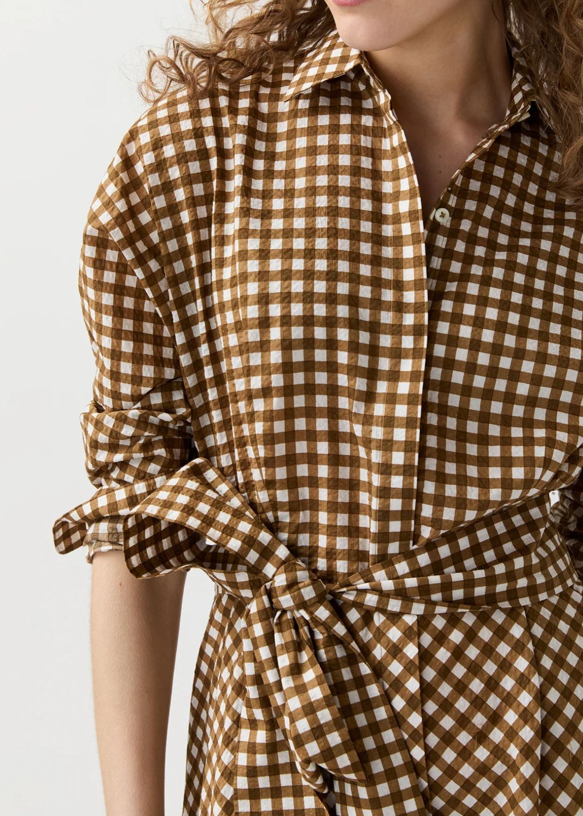 ANN MASHBURN Charlie Shirtwaist Dress - Tobacco/Ivory Gingham