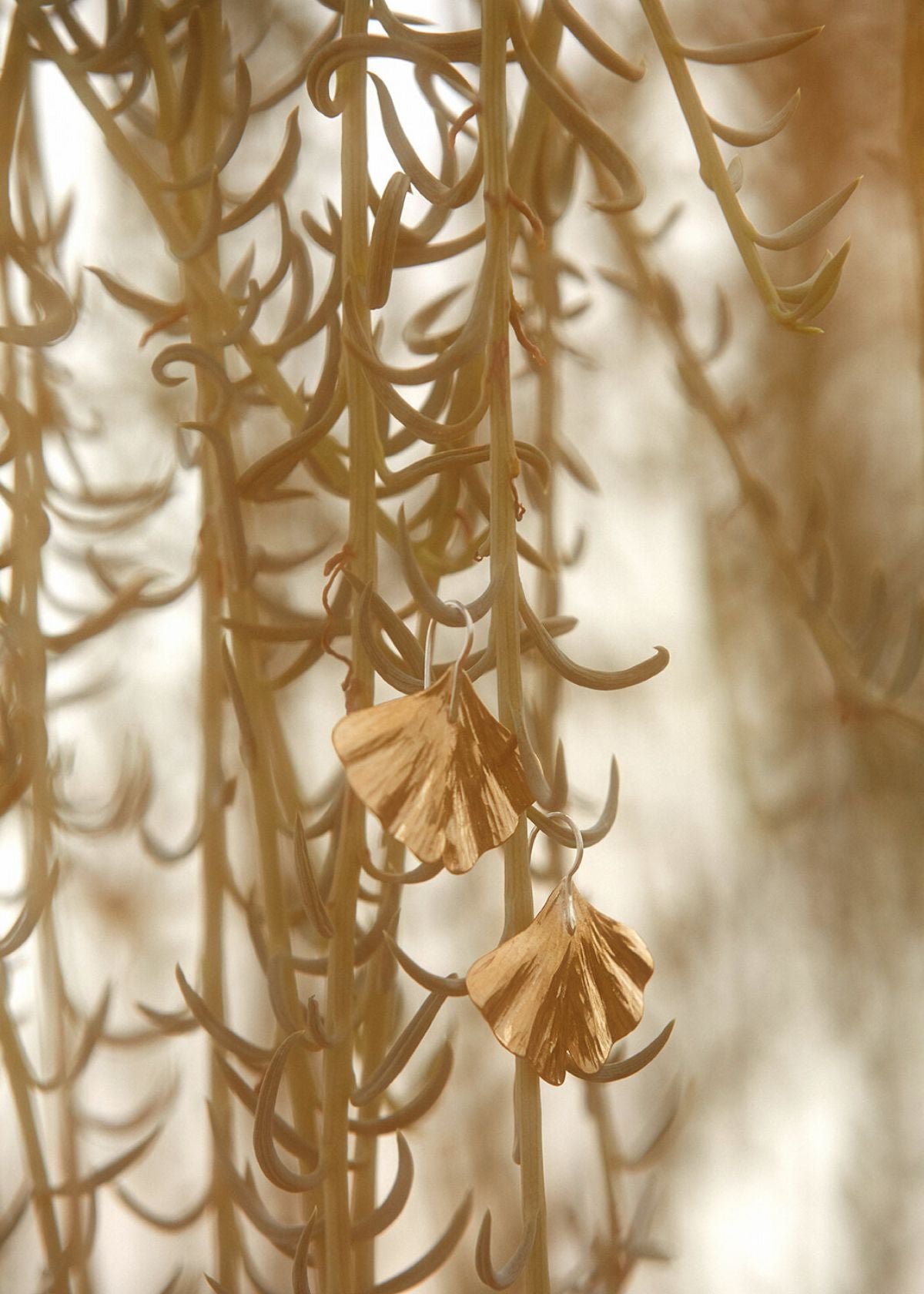 MARGARET ELLIS Gold Filled Ginkgo Leaf Earring
