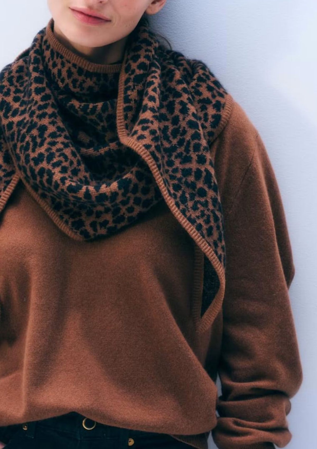 WHITE + WARREN Cashmere Leopard Neckerchief - Cedarwood/ Black Leopard