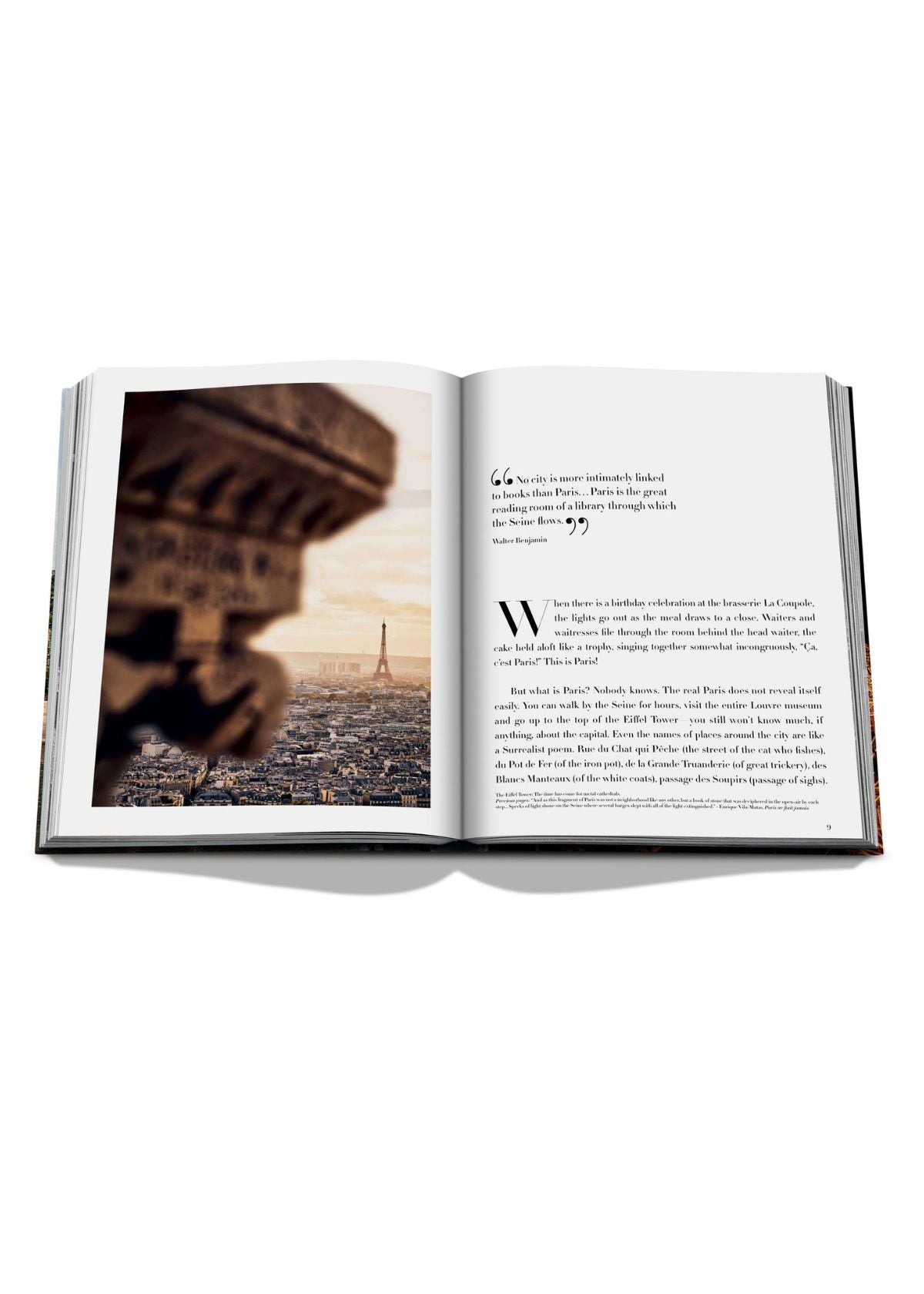 ASSOULINE Paris Chic Hardcover Book