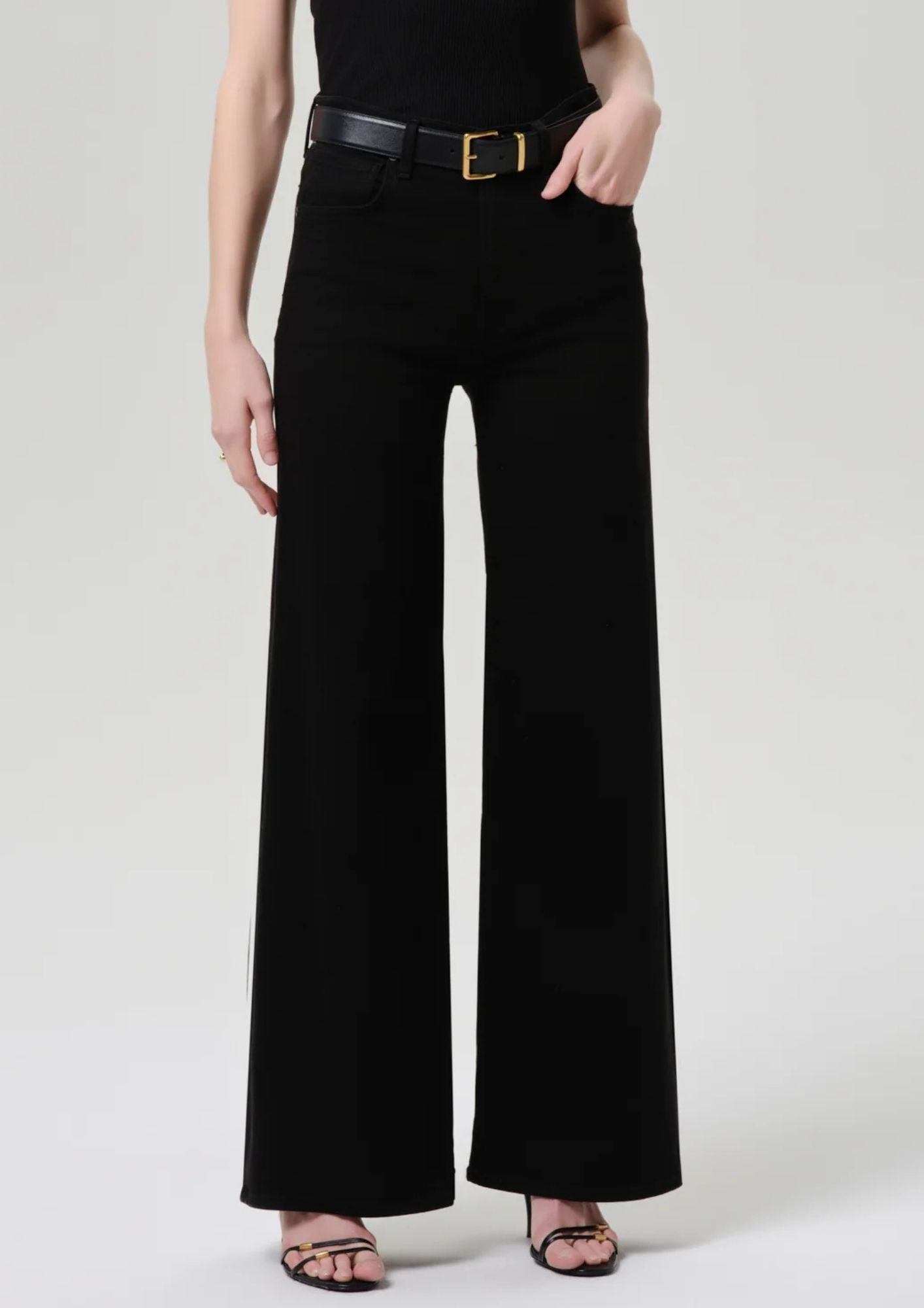 CITIZENS OF HUMANITY Lyra Long Wide Leg - Plush Black
