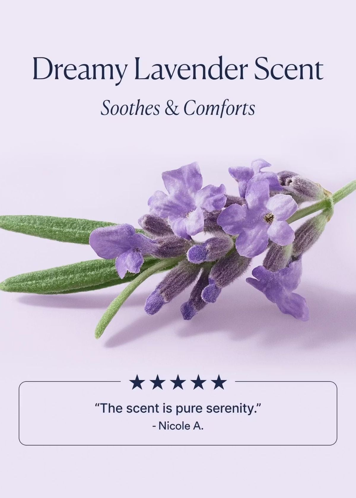 OSEA Dream Bio-Retinol Body Serum - 4oz.