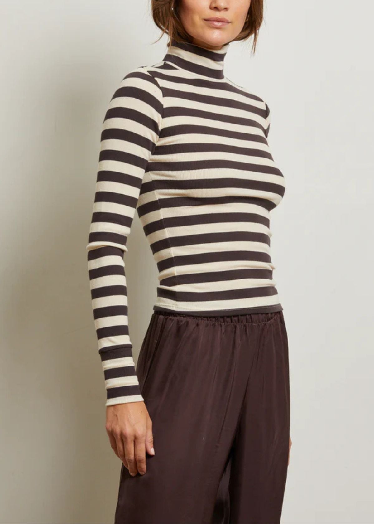 PERFECT WHITE TEE Hayden Turtleneck - Mocha Stripe