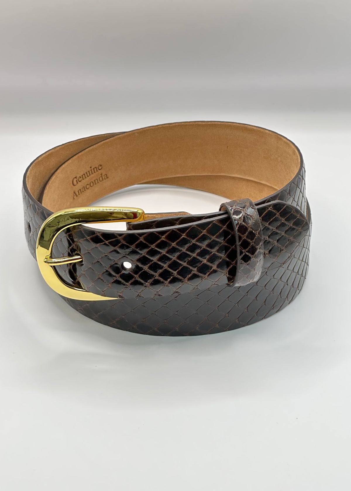 W.KLEINBERG Anaconda Belt with Gold Buckle - Chocolate