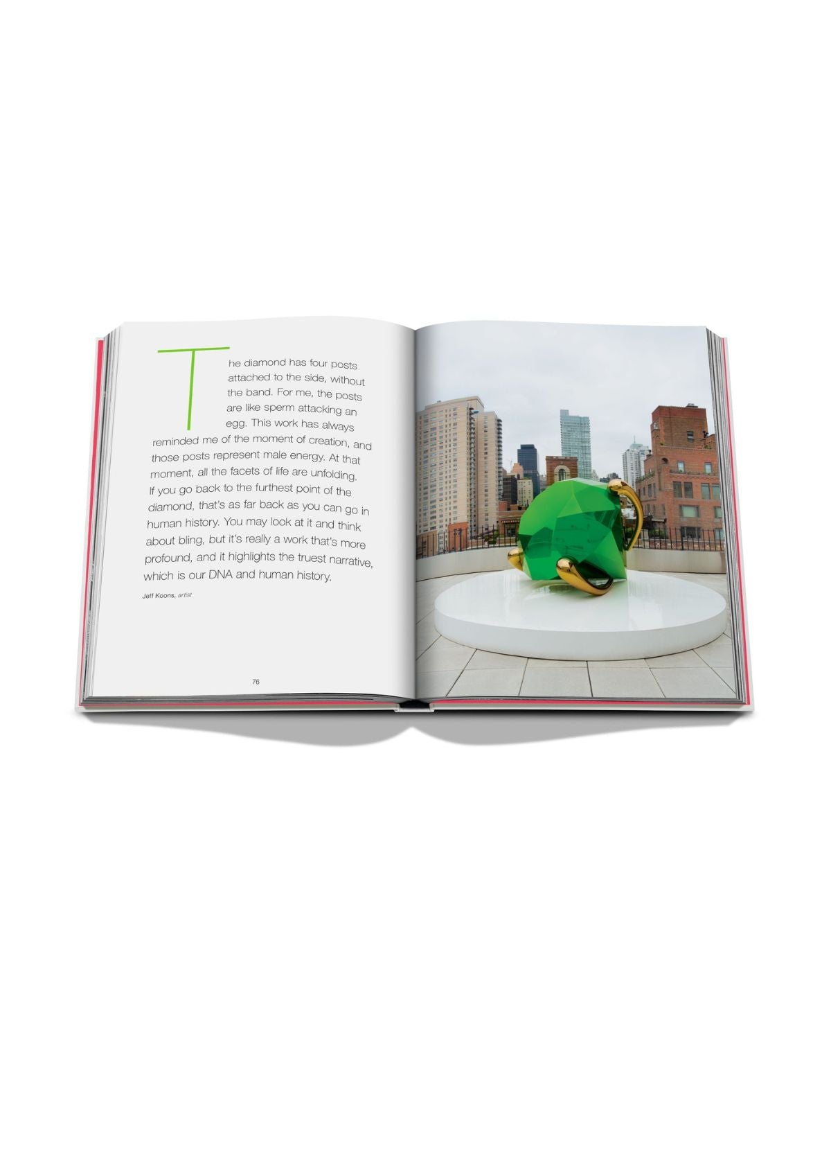 ASSOULINE Lisa Perry: Fashion, Homes, Design Hardcover Book