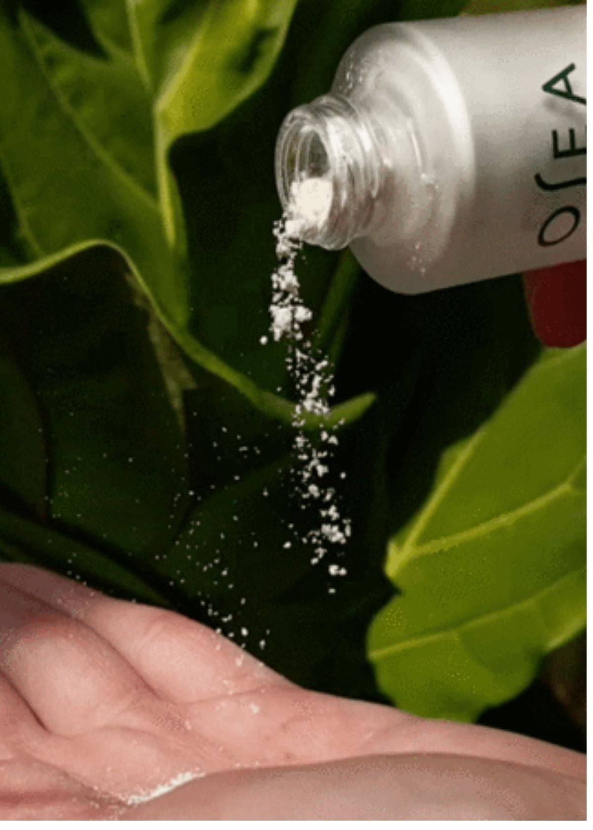 OSEA Vitamin C Probiotic Polish